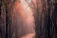 1xBit体育app下载地址-弗赖堡高歌猛进：一场完胜背后的胜利密码