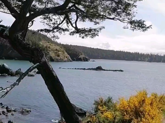 西雅图海湾者防线稳固，力拼卡尔蒂斯全力拿分的简单介绍