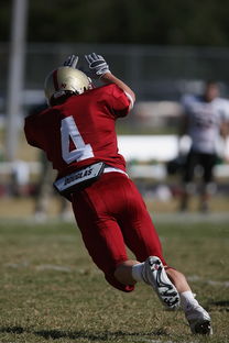 1xBit体育入口-大本茨主场击败对手，守住积分榜前列位置！