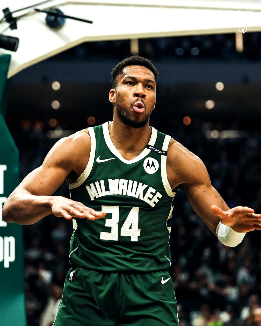 关于雄鹿击败灰熊，西部豪强继续高歌猛进的信息